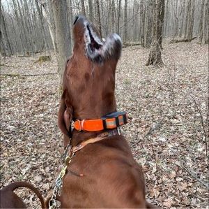 Meet your Posher, Steve